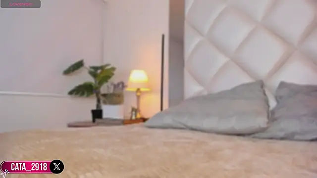 Megan DH online show from November 3, 12:09 pm