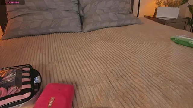 Megan DH online show from November 6, 12:11 pm