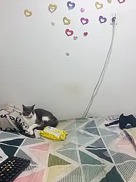 tany90 online show from October 31, 11:20 pm