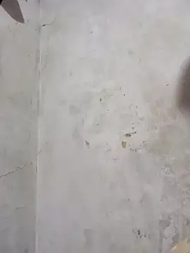 panquevis 22 online show from November 16, 6:52 pm