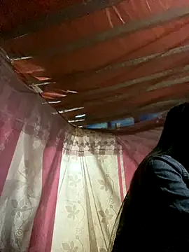 PhanHaa online show from November 6, 12:22 pm