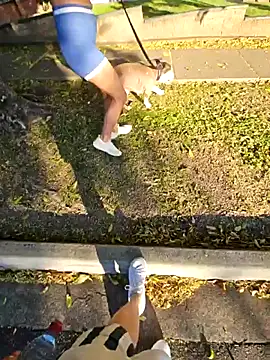 xxxplicitcontent online show from December 2, 7:32 am