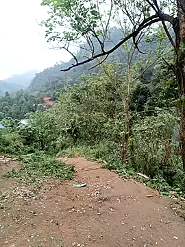 linda bae00 online show from March 6, 9:04 am