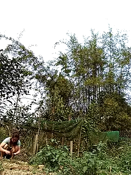 Ngocmi909 online show from March 31, 9:31 am