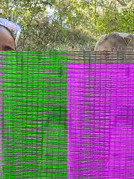 Snakes131 online show from September 25, 2:38 pm