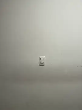 PortuPAWG online show from February 28, 10:31 pm