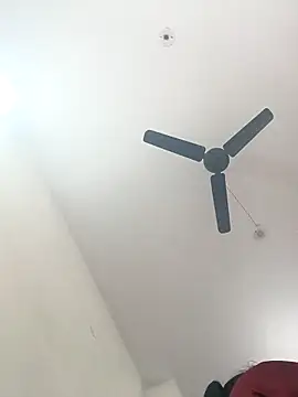 Appypie online show from December 19, 5:54 am