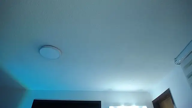  Charlotte Collins  online show from May 1, 2:31 pm