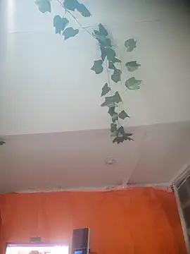 AriannaSoul online show from November 16, 2:13 am