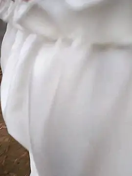 hong-sex online show from November 9, 2:40 am