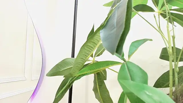 keila hott20 online show from October 24, 2:02 pm