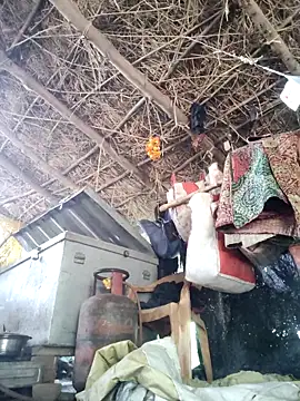 LUCKY cut online show from October 15, 6:16 am