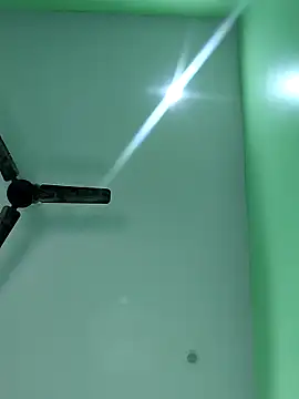 WildPayal online show from November 14, 7:52 am