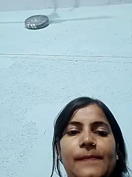 WildPayal online show from November 20, 4:08 pm