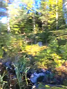 bitch Marley online show from September 24, 11:53 am