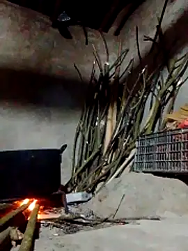 donna-bae online show from March 9, 11:35 am