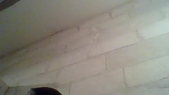 Ivaldimar online show from September 28, 7:52 pm
