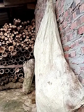 Mai lovely online show from March 19, 10:08 am