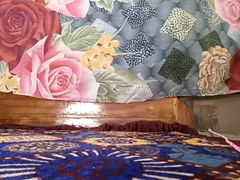 Your seema 208 online show from November 19, 6:46 am