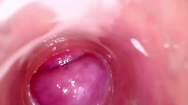 shannon kinne  online show from November 23, 8:32 pm