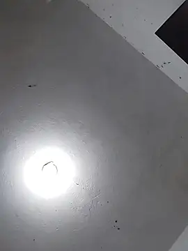  Bella Beth  online show from November 26, 2:34 am