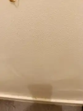  Gabriela 5Live online show from November 10, 5:08 pm