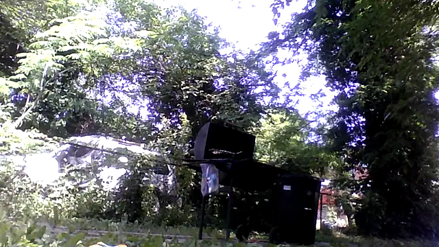 dezzidavill online show from May 20, 3:31 pm