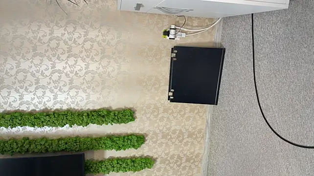 OliviaCart online show from April 10, 2:01 pm