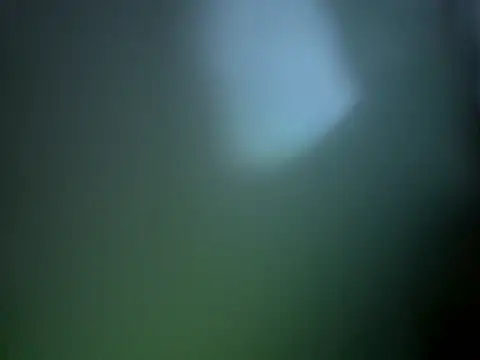 Butterfly8385 online show from May 20, 3:14 am