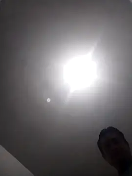 checheludo23 online show from February 23, 4:24 am