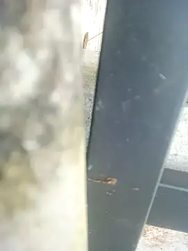 Myzak- online show from December 20, 3:32 am