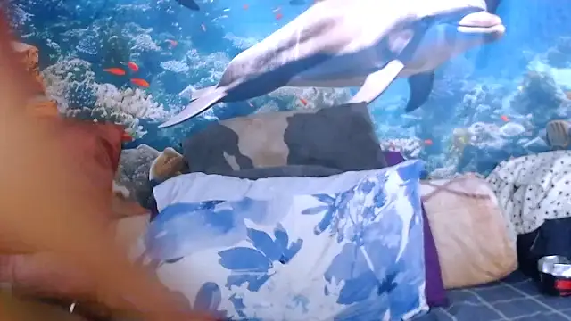 AfricanBarbiee69 online show from February 18, 6:07 pm