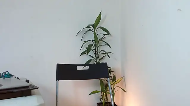 Dulce765b online show from March 21, 1:38 pm