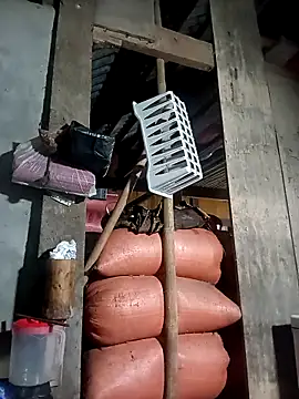 kokoto-59 online show from March 11, 11:36 am