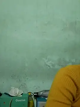  LAN  online show from November 13, 1:26 am