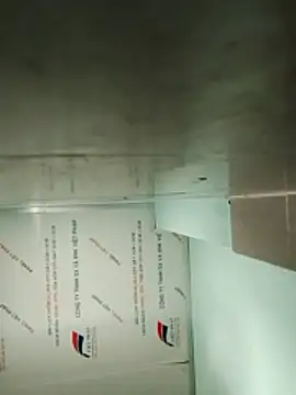  LAN  online show from April 4, 7:29 am