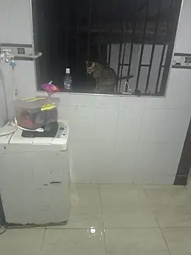 Esmesweet23 online show from November 12, 11:36 pm