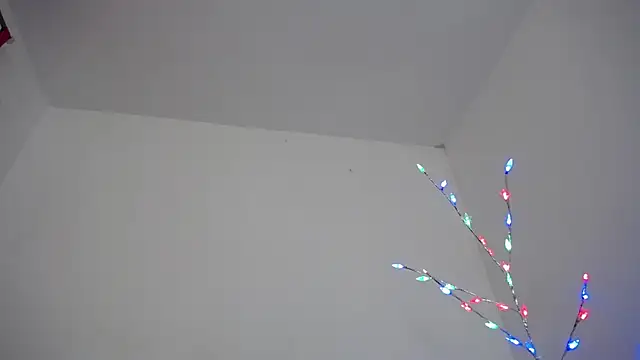 Mia fox29 online show from December 17, 11:25 am