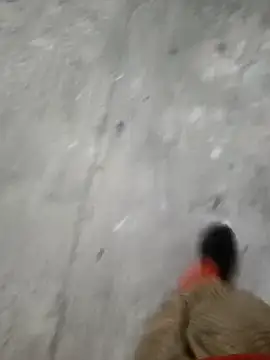 bigtelugubhama online show from November 18, 2:12 am