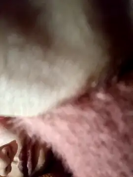 yoyo-mi online show from January 9, 10:19 am