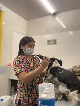 Vickybon online show from January 9, 9:19 pm