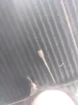 jacka 305 online show from January 11, 6:51 am