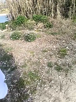 marchigiana online show from February 26, 9:19 am