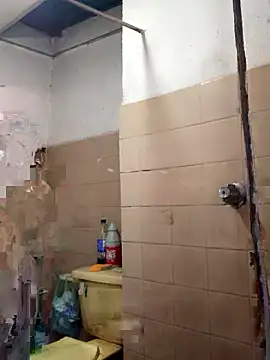 Alana phs online show from November 15, 7:15 pm