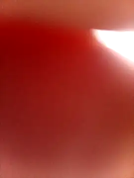 Sarahy- online show from November 11, 12:02 pm