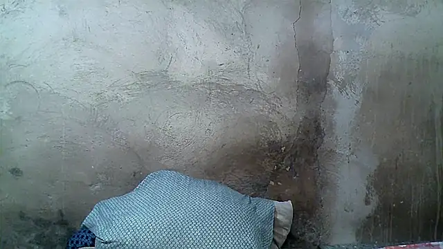 xwindyxxx online show from March 8, 2:04 am