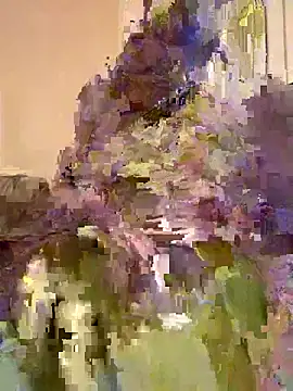 Motherbigbus online show from February 13, 3:19 am