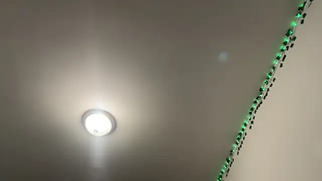 tinydaisy21 online show from December 2, 6:21 pm