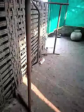 leelavathi-telugu online show from December 22, 3:20 am