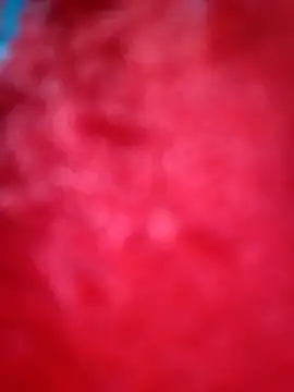 Pariraja hot online show from December 21, 8:46 pm